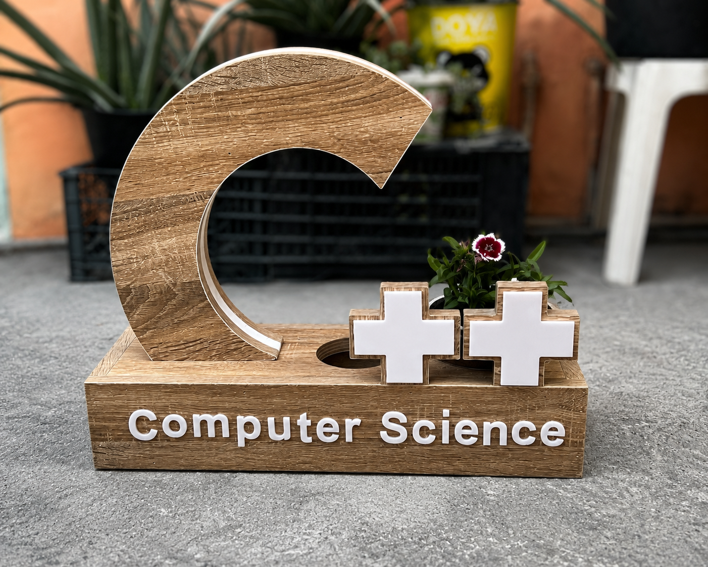 Handmade wooden C++ and Computer Science display with small plant decoration